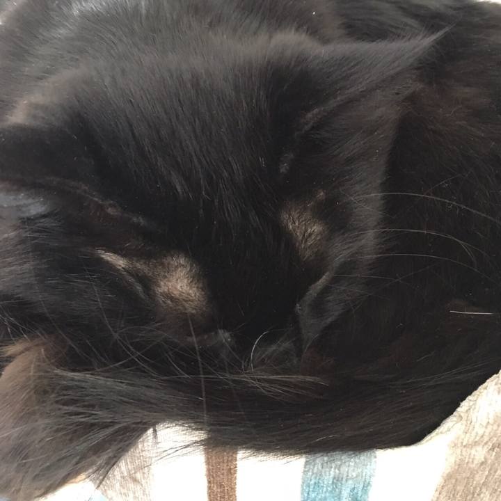 Cae6a602 163d 4c9c a8cf a11843f2b13b