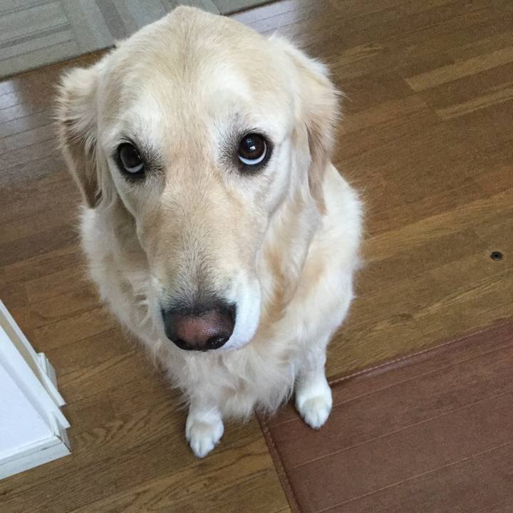 Cae6ee73 eb77 4c4e 9e74 a1c86e4e6504