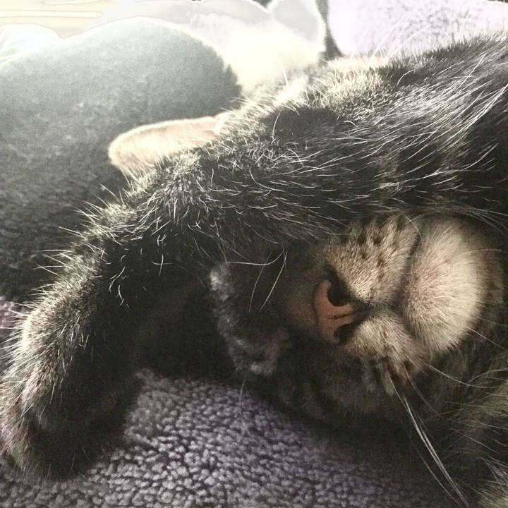 Cae6fe2f 374a 43e5 ad74 69c27175826c