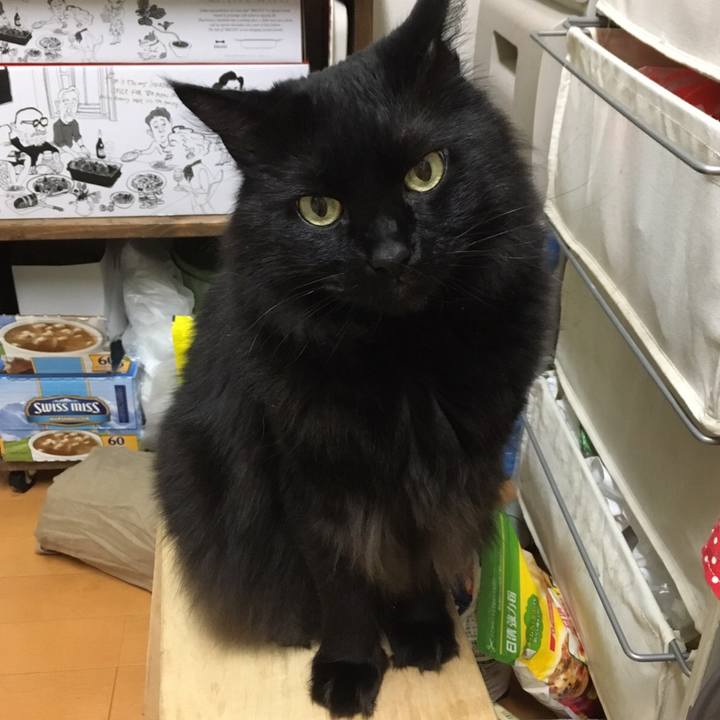 Cae78c1d 8f8a 4ae0 af5f 70e0a370df1e