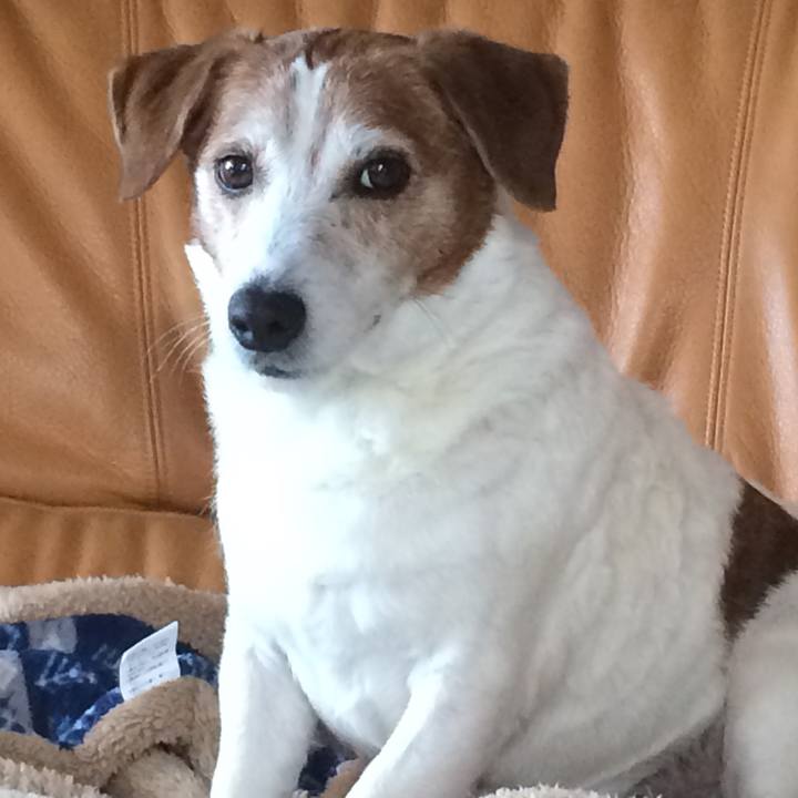 Cae7e21e 561f 409e ad0a 77bc45dc08de