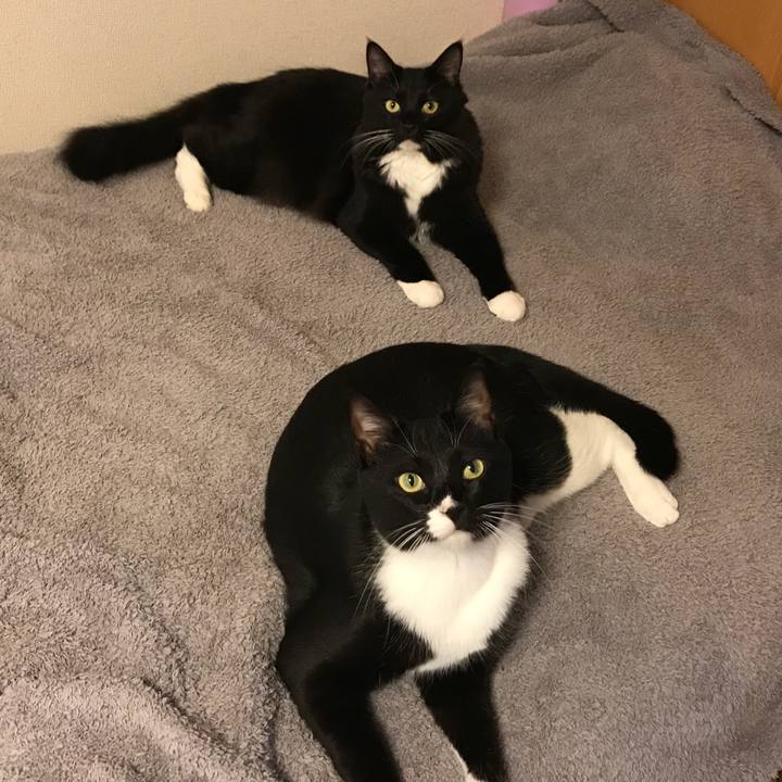 Cae8438c 0781 4d20 8867 a96b8abca6e4