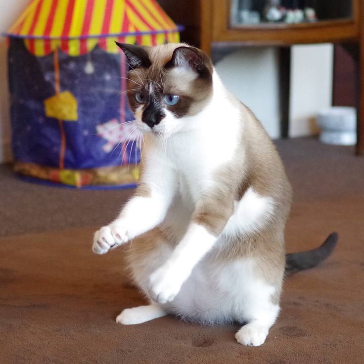 Cae886fe 68f1 4e64 b664 e4a49b72aa56