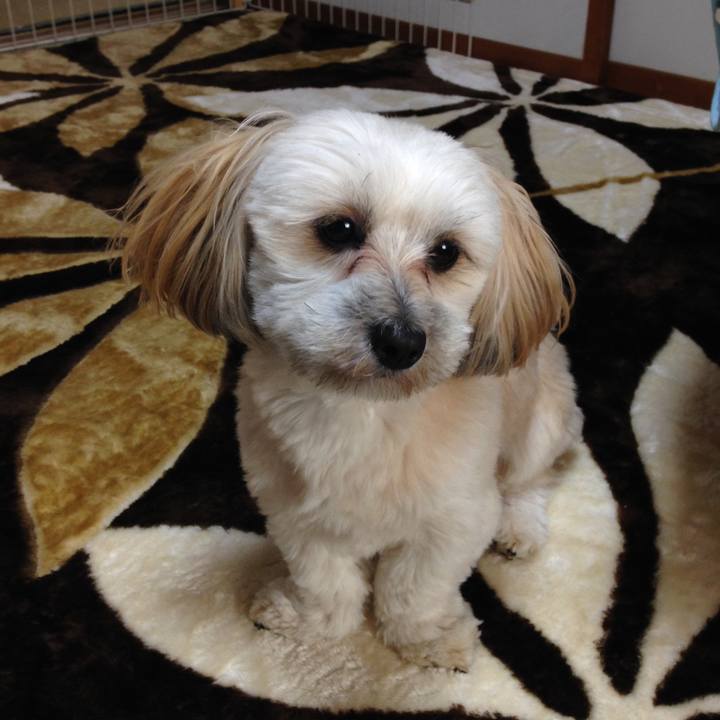 Cae8ffee be09 4f19 b72f 6f724e66280d