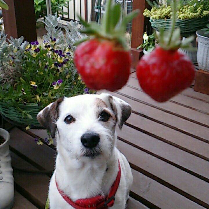 Cae96496 50fa 4ab5 8f6d 51a0b005204e