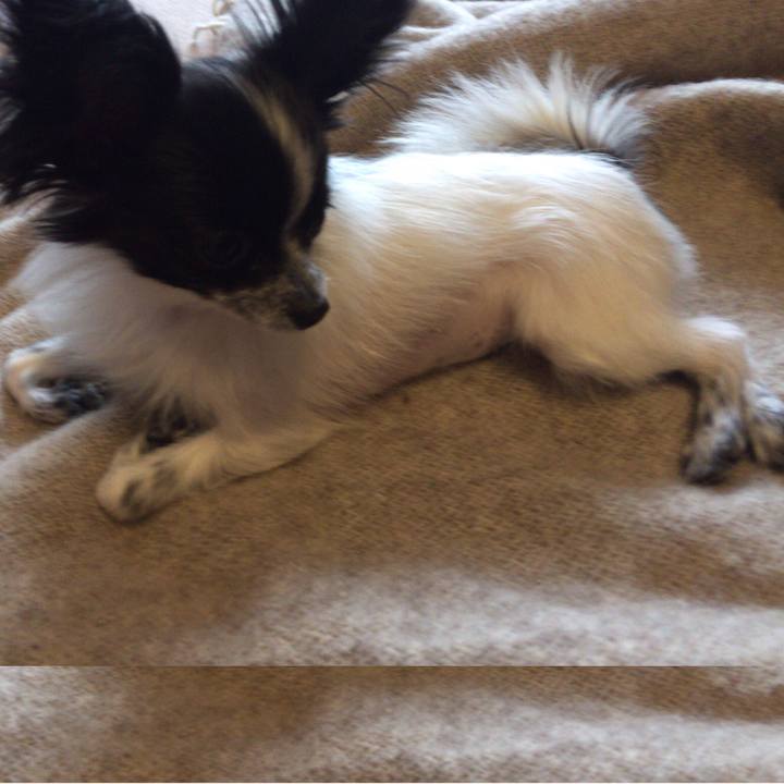 Cae9c8d0 d2f0 46e6 a8f7 95090fb36d83