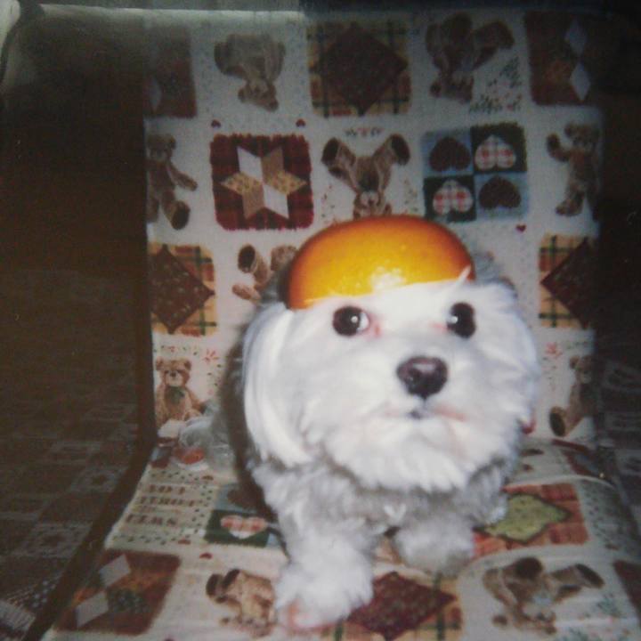 Caea37e7 c829 44f6 9c57 b8e14a35c671