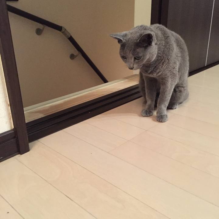 Caea3fe0 5c0f 47dd ba66 6ad9c0a1f30d