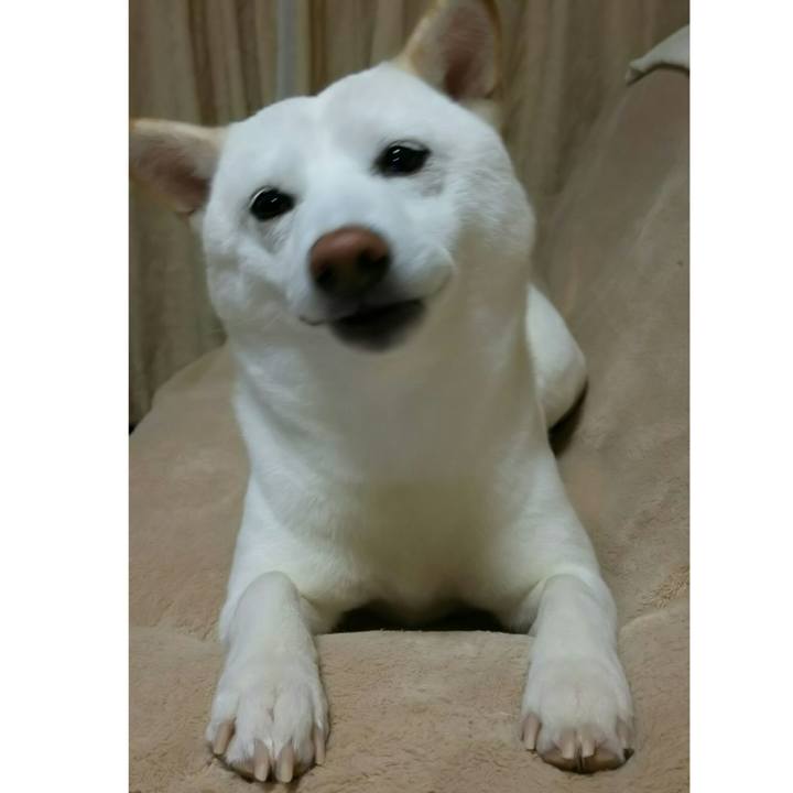 Caea5c09 66f6 4a64 93f0 9245c19136c5