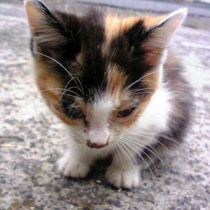 Caeabf4c 62a6 4968 981a c2e3d55de092