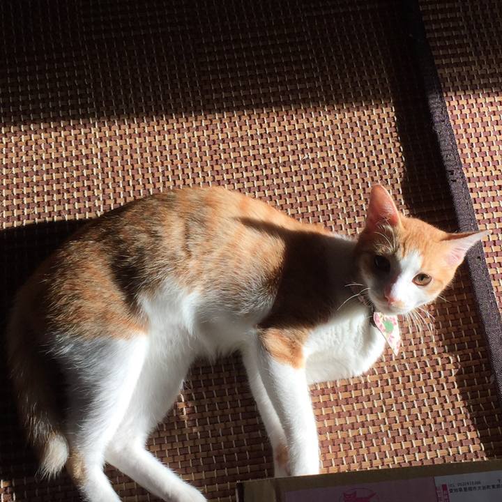 Caeb5d8e 2016 4637 8382 a7178e28b202