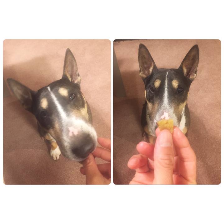 Caebcbd2 acb8 4f48 a6ac 86c96bb06293