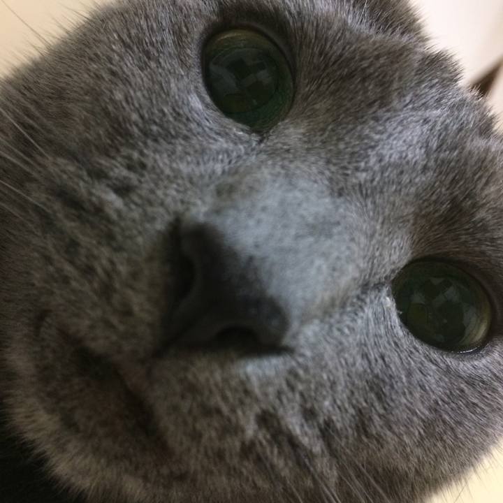 Caec59f8 a6e6 46fc a3df 5243edc8797f