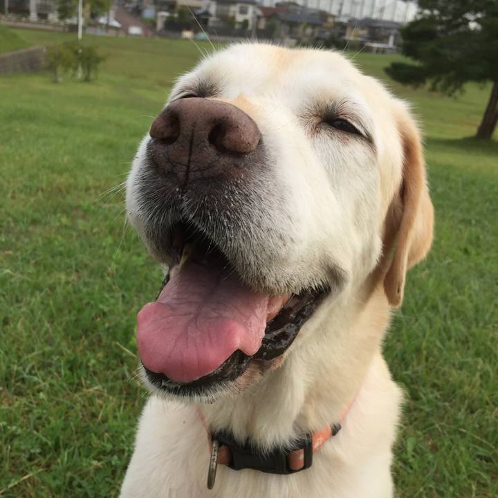 Caec6093 2d9c 4e47 95d2 fb7ee3ae1f94