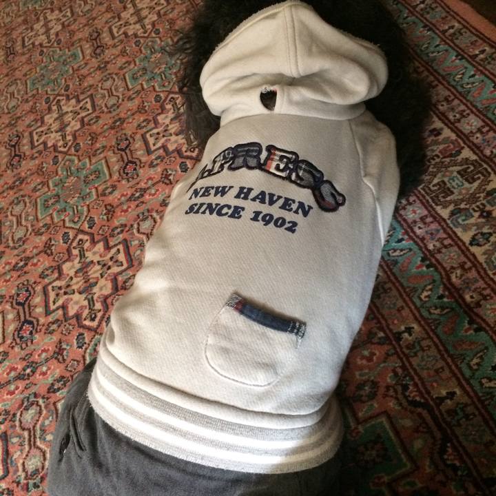 Caed7868 b79b 4890 873e a7fc6f8cd0eb