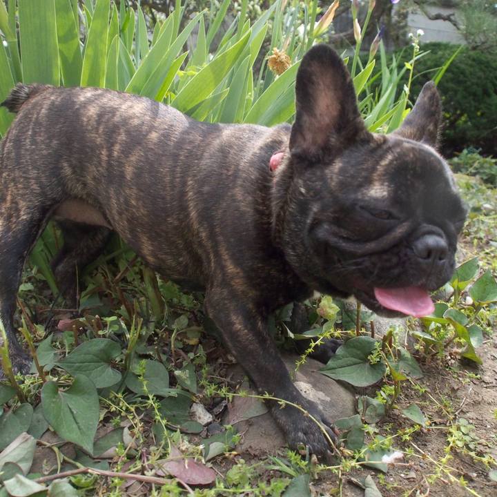 Caed8411 018f 478f 8286 61526ee7d2c1