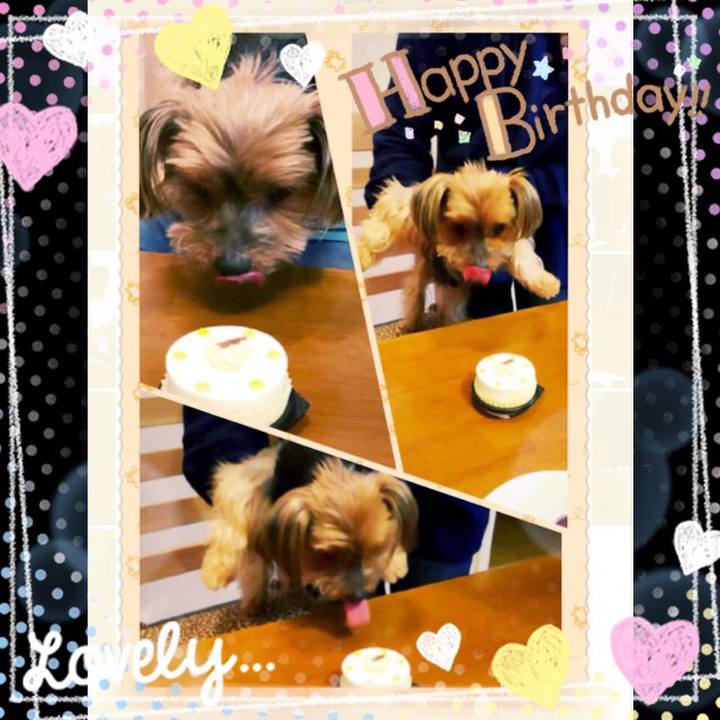 Caedb129 e289 47fc 9770 3e4edc776e5d