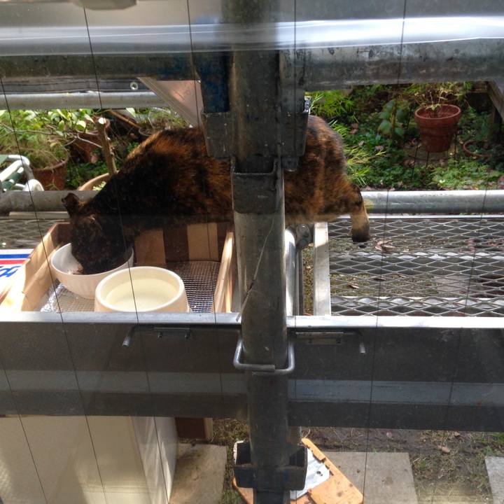 Caee0590 5ebb 49bf 8490 84a5fb3575c4