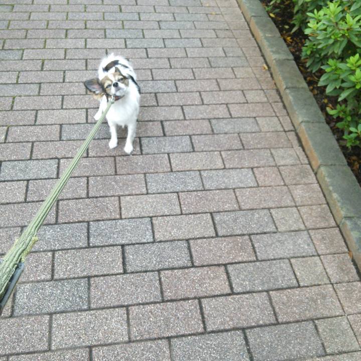 Caee2f30 345e 4fae 8e46 8d9be26f1c23