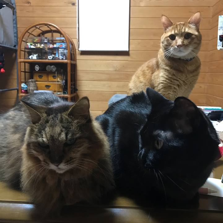 Caee3a66 8307 402f aa7e 141d05fd2712