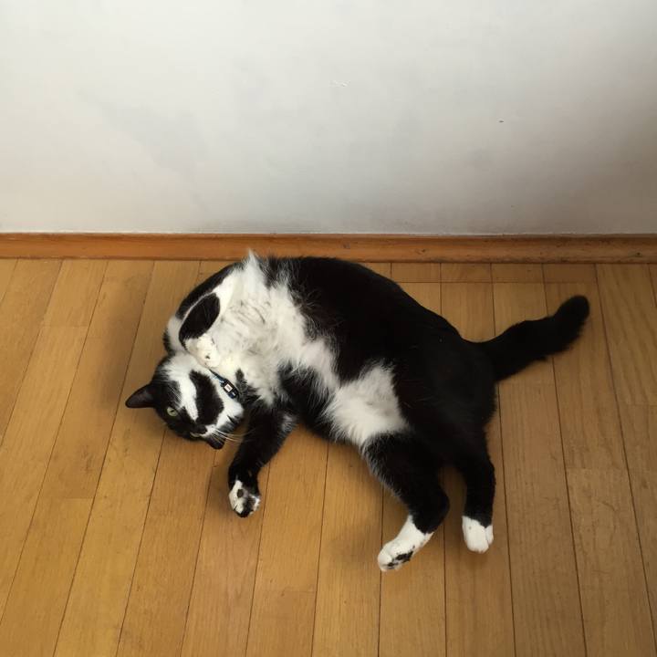 Caef25e7 6629 40f9 a6dc 9fc31958b135