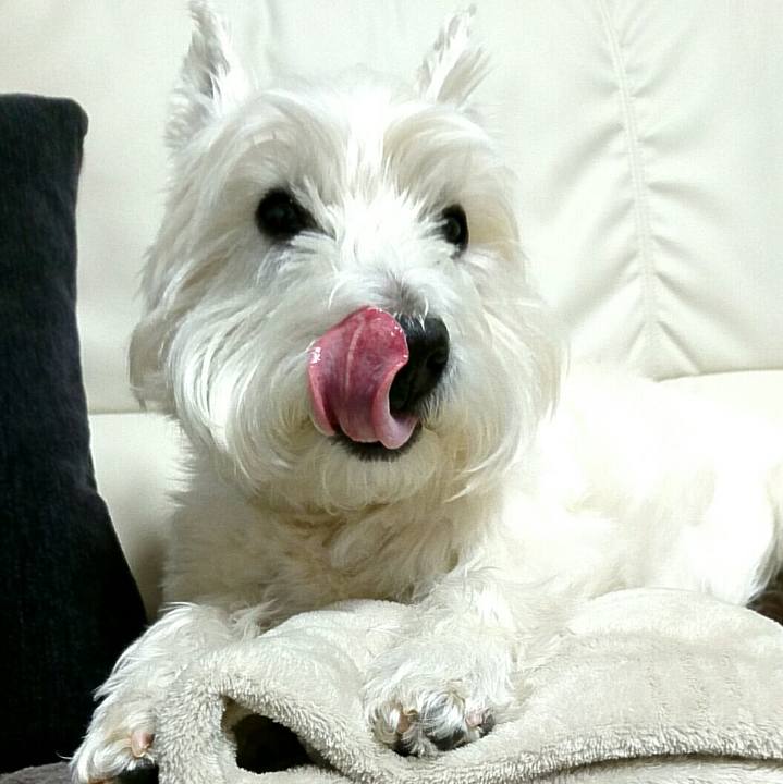 Caf2d782 96ed 4db7 9564 e7d4475d9c05