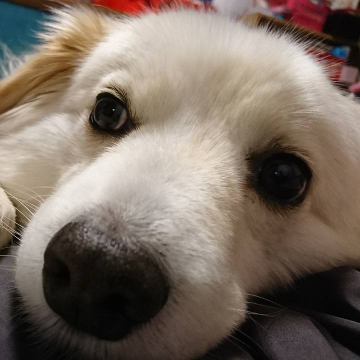 Caf314e2 5b86 4a93 96d5 cd81ac83996a