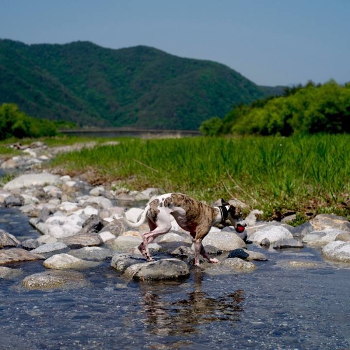 Caf38408 cf20 4b16 892e d10fc6dacc5b