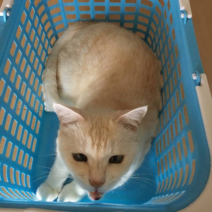 Caf43ddd 62d7 4a82 825f 2bbb7e85b3f5