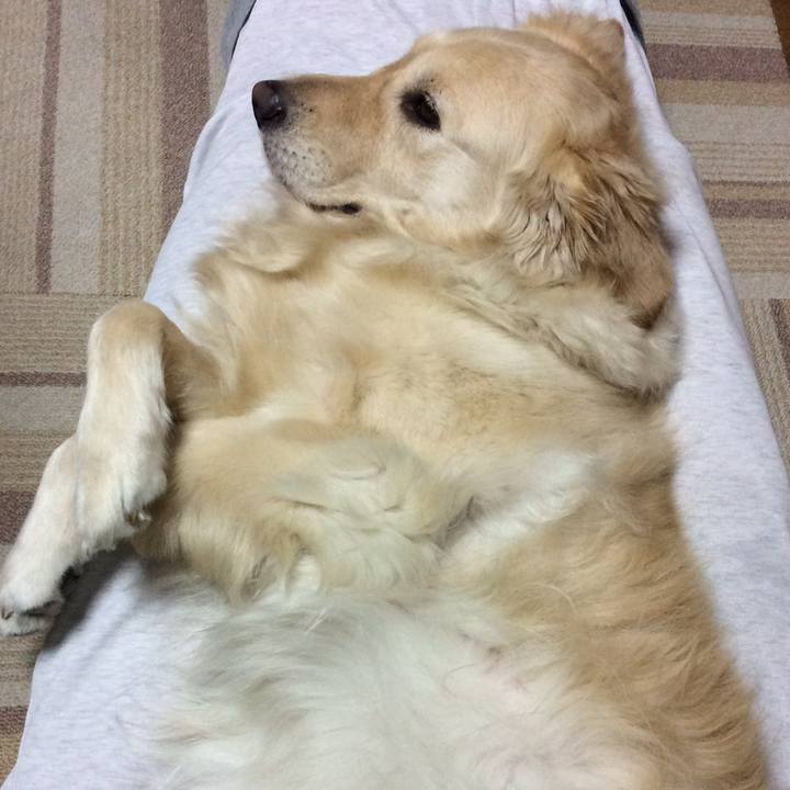 Caf47d60 df67 4f73 afe5 2cfa695e1991