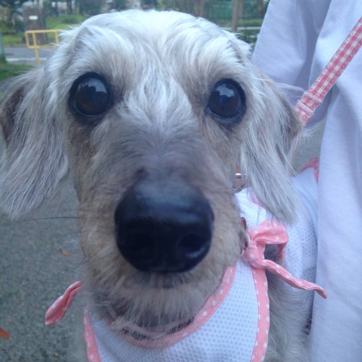 Caf499ef a680 4b06 afd2 83724caf8725