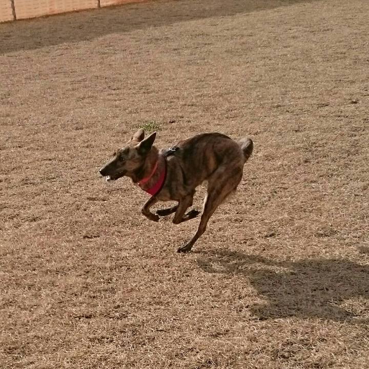 Caf4aff8 a0ce 4c77 abe7 f8f576b4ddf7