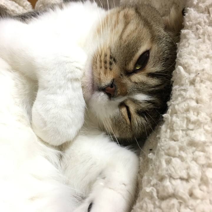 Caf56893 fd5e 4e3b 9c9c a86a01fa99c9