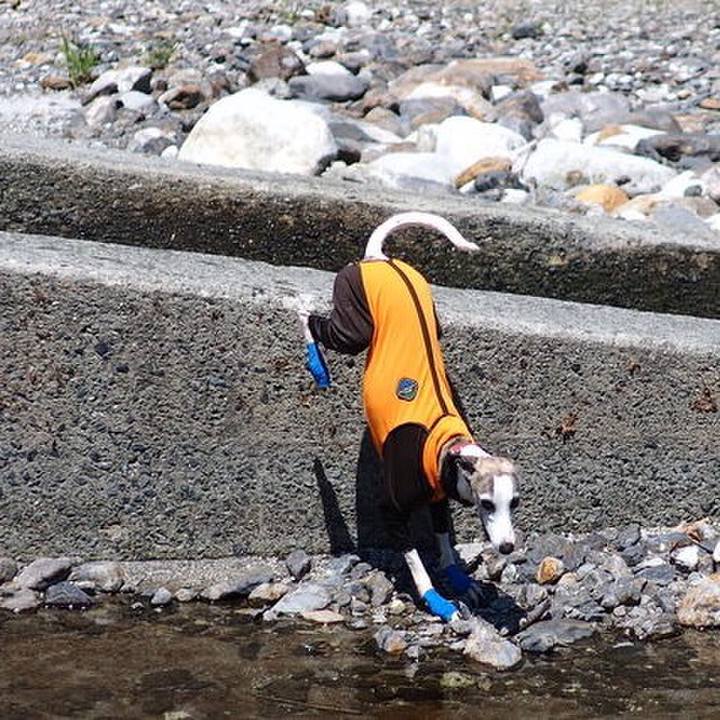 Caf5b8e9 dad2 4dd4 b5e7 0cac28d1fec1