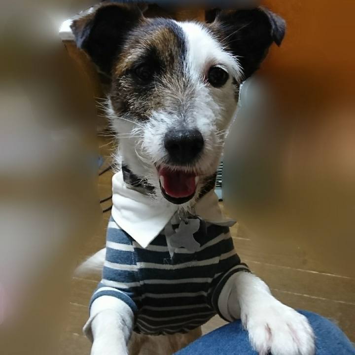 Caf643d0 8a15 483c 8e4a 5cd6170b9110