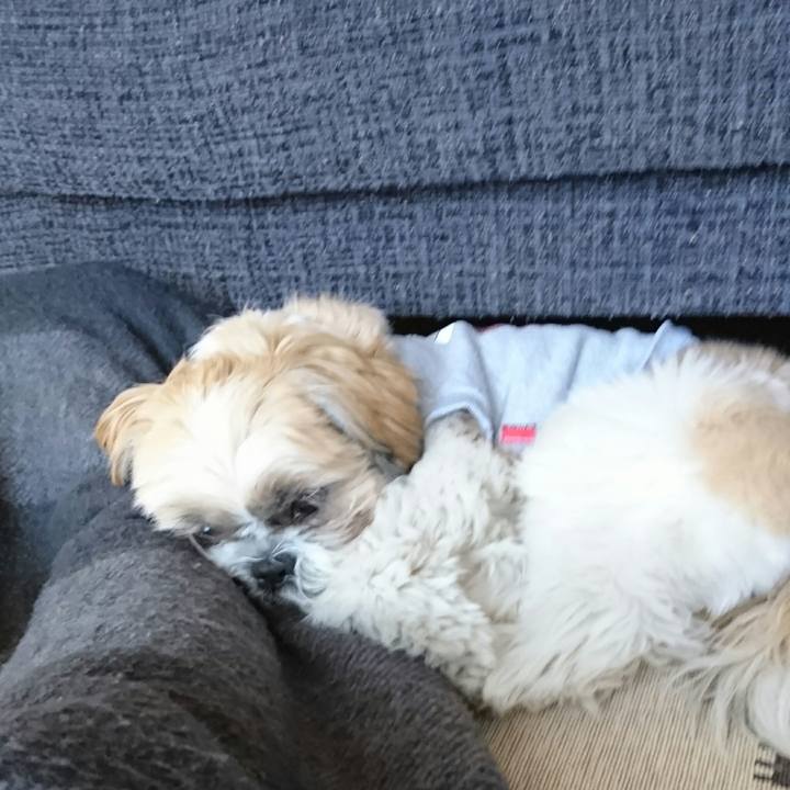 Caf64a12 372c 4008 b580 0264eef7cc50