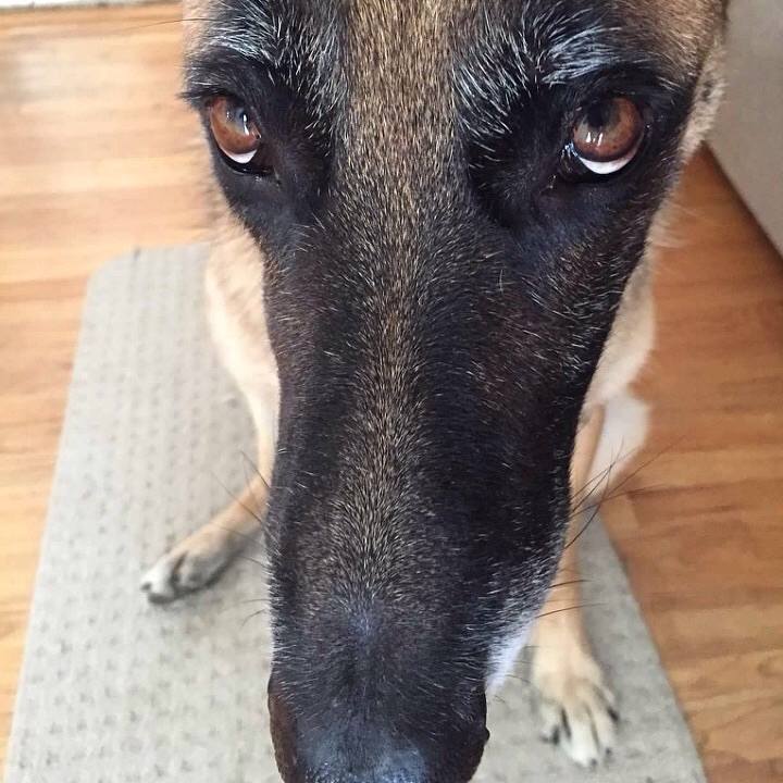 Caf67e4d 41f9 4816 8b84 93e28ac4d253