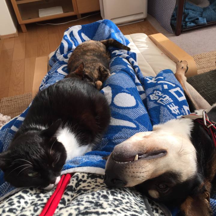 Caf78db5 6bb2 4374 b95c 726c01066e51