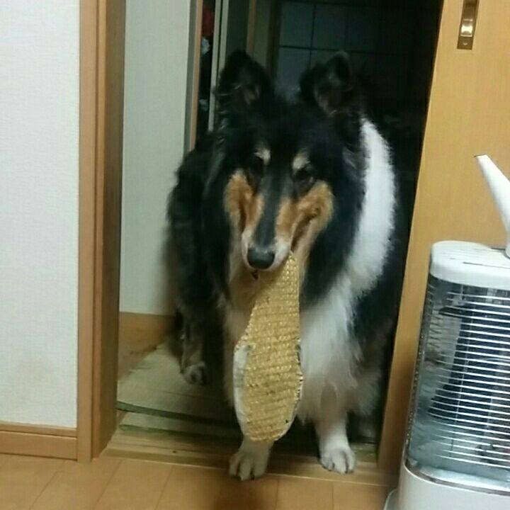 Caf7cbe4 56dd 4692 9d9f 6ed5a7b2f6c5