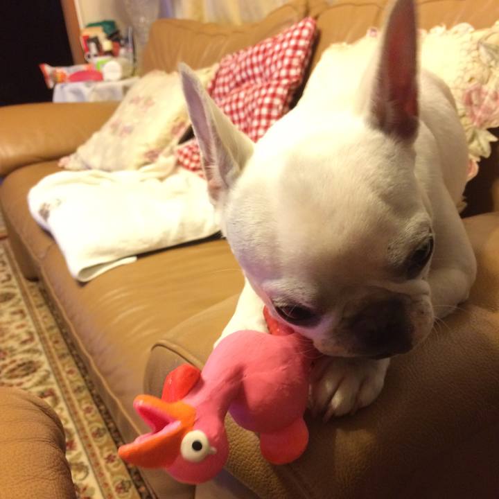 Caf88bb1 ae8d 49b8 a2be 49a92fa51b9f