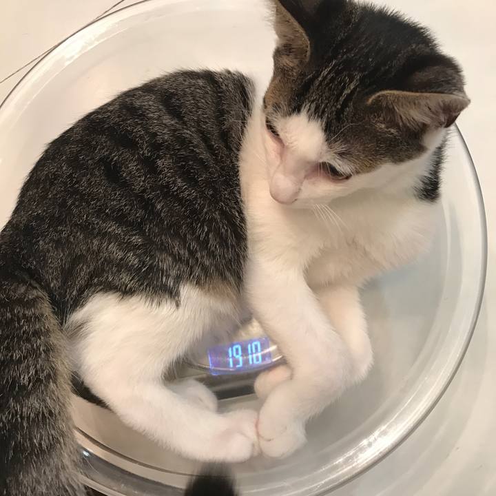 Caf8f044 d6fe 4c0e bfb6 7c1d34c6a0c9