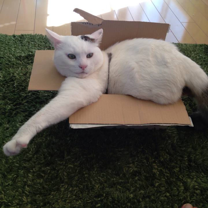 Caf95d27 9432 468f 83cd fd54b9020bdc