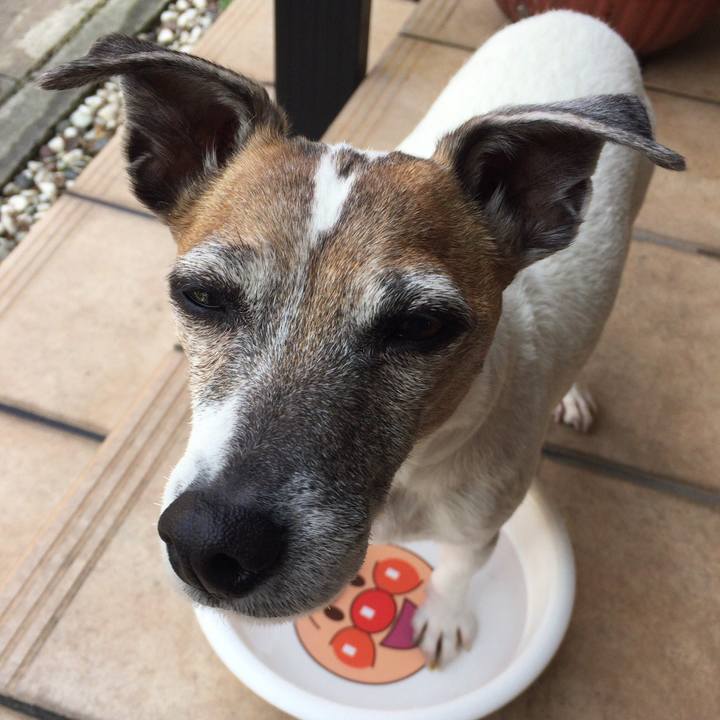 Cafa76a1 c75e 42ed 97b3 3ff041d4b5d7