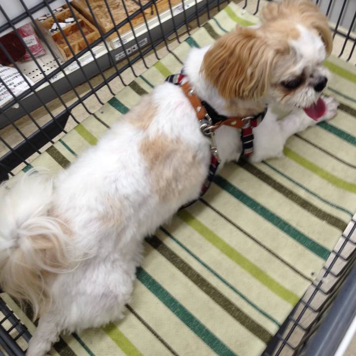 Cafafa6a b9c9 4634 b0a1 c8a27a71b88a