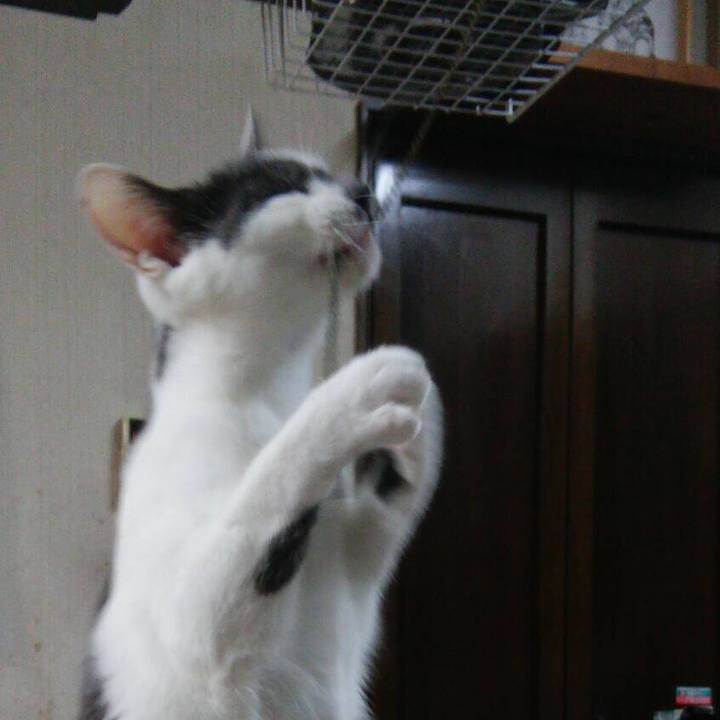 Cafc16f6 b024 4174 8041 3171e103b064