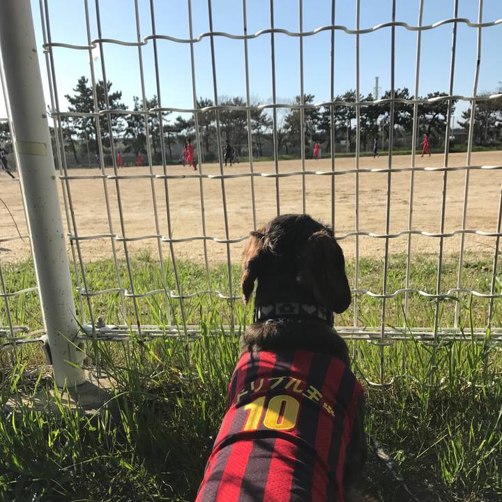 Cafc1da6 0a95 45e8 82ef bdf2e6ef4fe5