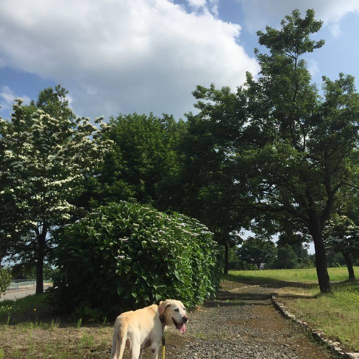 Cafe268e 8312 4478 990e 59e7e86ef821