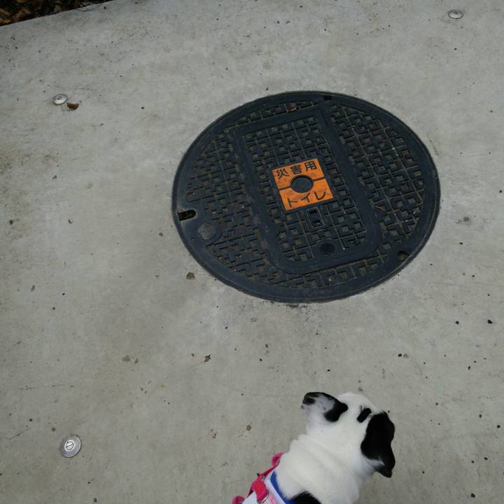 Cafe49ba 82c6 4713 9098 61c3c387a187