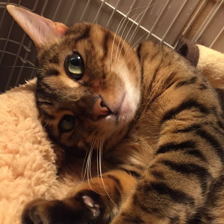 Cafee37b fa4e 4a73 bdd2 cd4904f86d81