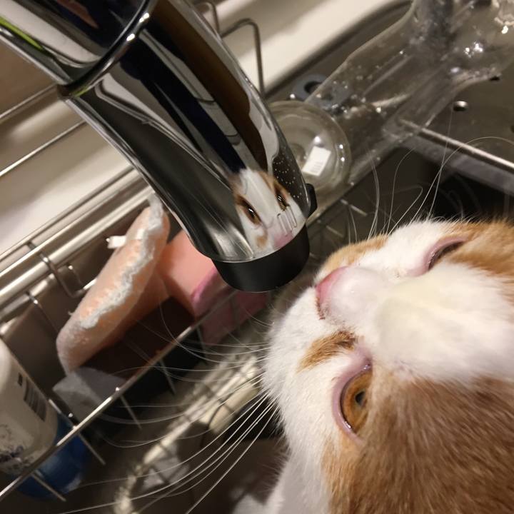 Caff4ee9 9e5e 4f61 825d 12840f433859